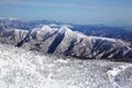 Soft rime, Mt.Zao in Japan Royalty Free Stock Photo