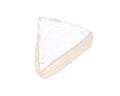 Soft ripened brie cheese Royalty Free Stock Photo