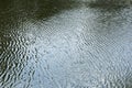 Soft Rippled Effect On Water Surface Royalty Free Stock Photo