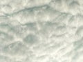 Soft Rippling Altocumulus Clouds - Subtle Morning Sky Texture Royalty Free Stock Photo