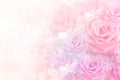 Soft roses flower background in sweet pastel tone