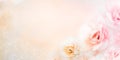 Soft roses flower banner background in vintage peach tone with glitters and copy space design for valentine and wedding cards Royalty Free Stock Photo