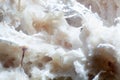 Soft rot, mould, yeast fungi