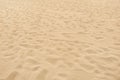 Soft sand beach with many disappearing footprints Royalty Free Stock Photo