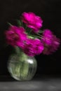 Soft selective focus, photo in motion, bouquet of dark red lilac tulips in glass vase on dark background