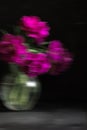 Soft selective focus, photo in motion, bouquet of dark red lilac tulips in glass vase on dark background Royalty Free Stock Photo