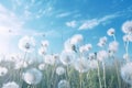 Soft and Serene: Blue Aerial Background with Fluffy Dandelions for Summer. Generative AI.