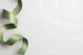 Soft Shadowed Green Ribbon Curling Down the Left Edge Royalty Free Stock Photo