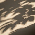 Soft shadows of leaves are cast on a textured beige wall, creating an interplay of light and dark. Royalty Free Stock Photo