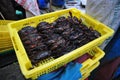 Soft shell crab farm