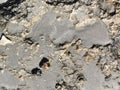 Soft small waves during calm break on granite stones of coastal zone and flow down sand of beach. Sea wave is broken against the Royalty Free Stock Photo