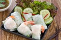 Soft spring roll [Thai's food ] Royalty Free Stock Photo