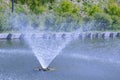 A soft stream of water flows like a funnel from the fountain. Beautiful splashes of water on a sunny summer day Royalty Free Stock Photo