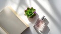 Soft sunlight illuminates a perfume bottle and succulent on a book Royalty Free Stock Photo