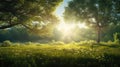 Soft sunlight shining over green meadow created with Generative AI.