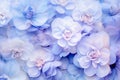 soft sweet blue purple flower background from begonia flowers, photo by Generative AI Royalty Free Stock Photo