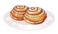 Soft sweet bun, rolled spirally, and sprinkle with powdered sugar on plate. Fresh hot cakes. Cooking. Dessert to tea. Vector.