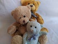 Soft teddy bears toys for children Royalty Free Stock Photo
