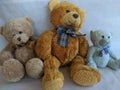 Soft teddy bears toys for children Royalty Free Stock Photo