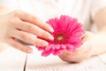 Soft tender protection for woman critical days, gynecological menstruation cycle, pink gerbera in hand Royalty Free Stock Photo