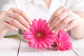 Soft tender protection for woman critical days, gynecological menstruation cycle, pink gerbera in hand Royalty Free Stock Photo