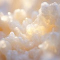 Soft, textured close-up of creamy white bubbles creating an abstract background Royalty Free Stock Photo