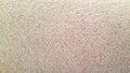 Soft textured fiber carpet background