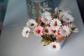 Soft tone beautiful flower in the jar