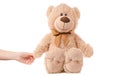 Soft toy beige bear hand Royalty Free Stock Photo