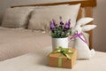 Soft toy bunny, gift box and flowers in bedroom Royalty Free Stock Photo