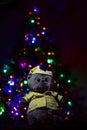 soft toy cat Basik on the background of the Christmas tree Royalty Free Stock Photo