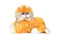 Soft toy cute orange cat on a white background Royalty Free Stock Photo