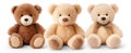 Soft toy fluffy bears sitting in a row on a white background, Closeup Royalty Free Stock Photo