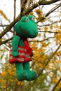 Soft toy frog hanging from trees