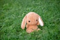 Soft toy on the grass in the park, cute plush rabbit, kids toy