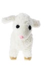 Soft Toy Lamb Royalty Free Stock Photo