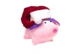 Soft toy New Year`s pig in a red Santa Claus hat on a white background, isolate, close-up, New Year of the Pig 2019, Christmas Royalty Free Stock Photo