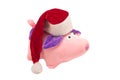 Soft toy New Year`s pig in a red Santa Claus hat on a white background, isolate, close-up, New Year of the Pig 2019, Christmas Royalty Free Stock Photo