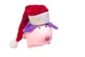 Soft toy New Year`s pig in a red Santa Claus hat on a white background, isolate, close-up, New Year of the Pig 2019 Royalty Free Stock Photo