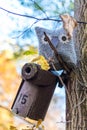 Soft toy owl is placed in autumn forest Royalty Free Stock Photo