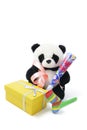 Soft Toy Panda with Party Favors