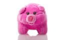 Soft toy pig on isolated on white background Royalty Free Stock Photo