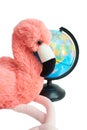 Soft toy pink flamingo with globe isolated on the white background. Royalty Free Stock Photo