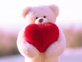 A soft toy pink fluffy bear holding a red heart