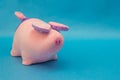 Soft toy pink pig with big ears on a blue background, close-up, the new year of the pig, swine, copy space, satisfied Royalty Free Stock Photo