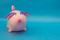 Soft toy pink pig with big ears on a blue background, close-up, the new year of the pig, swine, copy space, satisfied Royalty Free Stock Photo