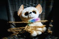 Soft toy of a sad dog tied with a body rope to a chair in a dark room. Parody for the abduction of children. Hostage taking