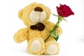 Soft toy Teddy with red rose for Valentines day