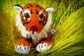 Soft toy tiger Royalty Free Stock Photo