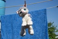 A soft toy white-grey cat dries on a rope after washing in the summer. It`s hanging by the ear Royalty Free Stock Photo